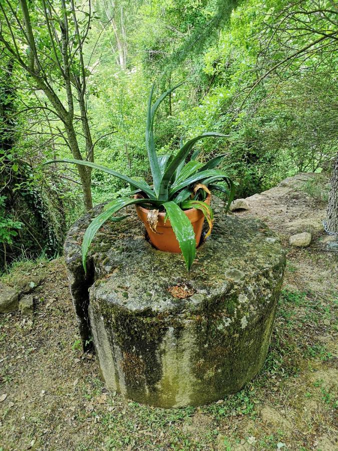 Casa Rural Ardetxal A 16Km De Logrono Y Laguardia Vinaspre Eksteriør bilde